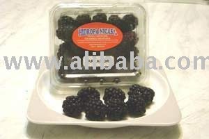 Blackberry