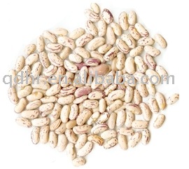  White   speckled  kidney  beans 