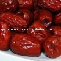 Chinese red date