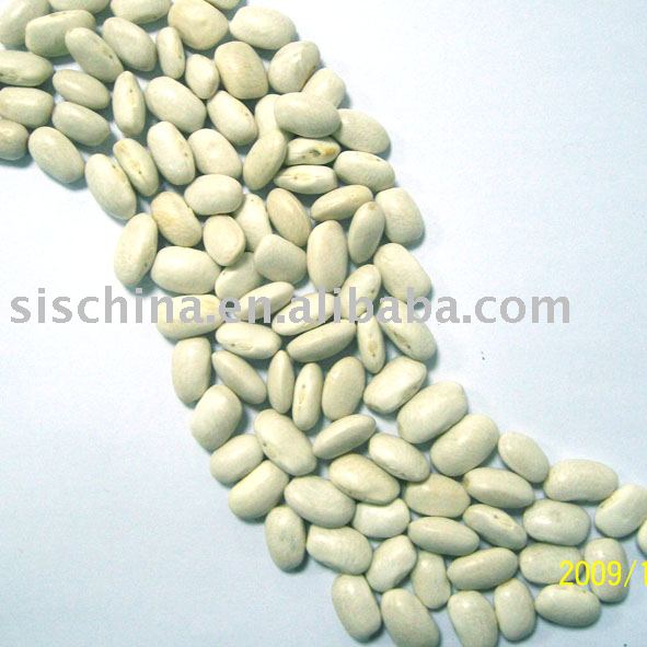 2009 Crop Chinese White kidney beans baishake type