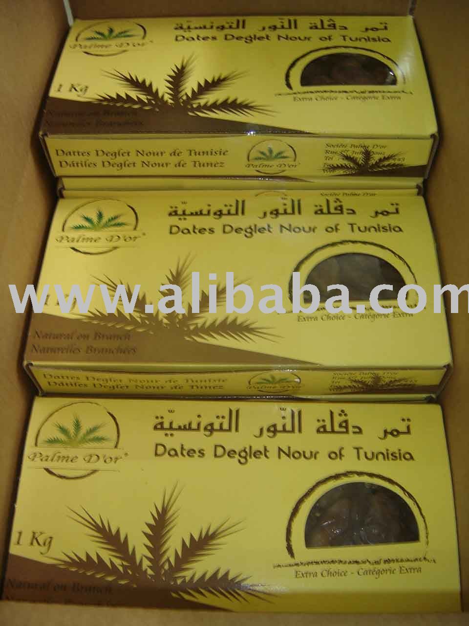  DEGLET   NOUR  OF  TUNISIA  1ST CHOICE  dates 