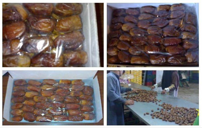 semi dried dates