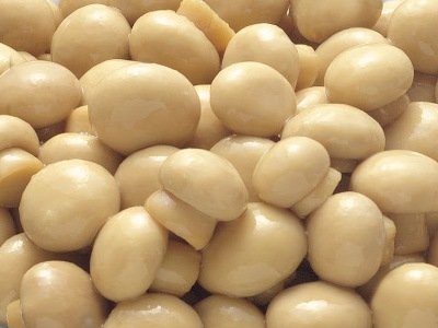  Canned   Mushroom   Whole  in  brine 