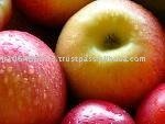 apple juice concentrate