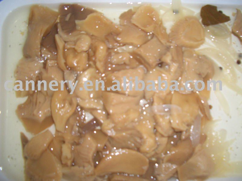 canned oyster mushroom,China price supplier 21food