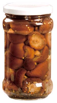 Canned Shiitake