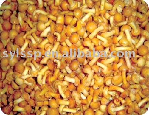 Brine nameko--mushroom