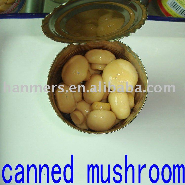 top quality  canned   button   mushroom   whole 