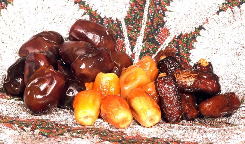 Iranian date,Iran price supplier - 21food