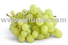 Sell White grape Juice Concentrate