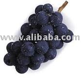 Sell Red grape Juice Concentrate