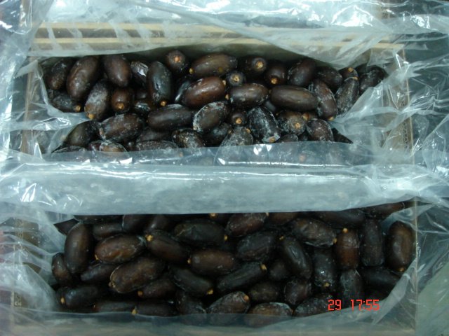 I. Q. F FROZEN BLACK DATES