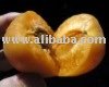 Supply Apricot Puree-Brix 28 / 30