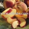 Supply Peach Puree-Brix 28 / 30