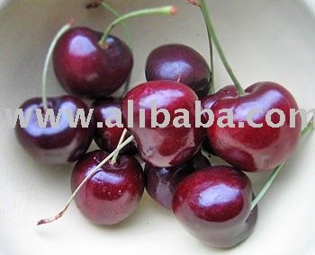 Sour cherry Concentrate Juice