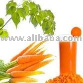 Carrot Juice Concentrate