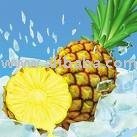 FROZEN CONCENTRATE PINEAPPLE JUICE