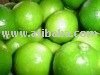 FROZEN CONCENTRATE TAHITI LEMON JUICE