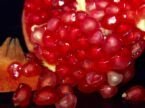 sell pomegranate juice concentrate