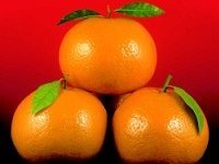 Kinnow Juice Concentrate