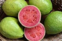  red   guava 