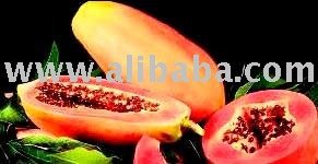 PAPAYA PULP