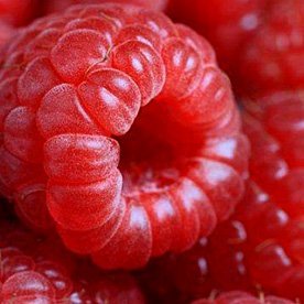  Raspberry  juice  concentrate 