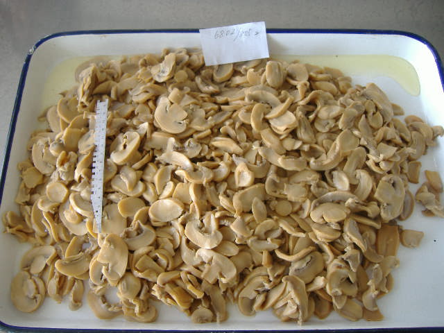 Canned Mushroom PNS in Brined
