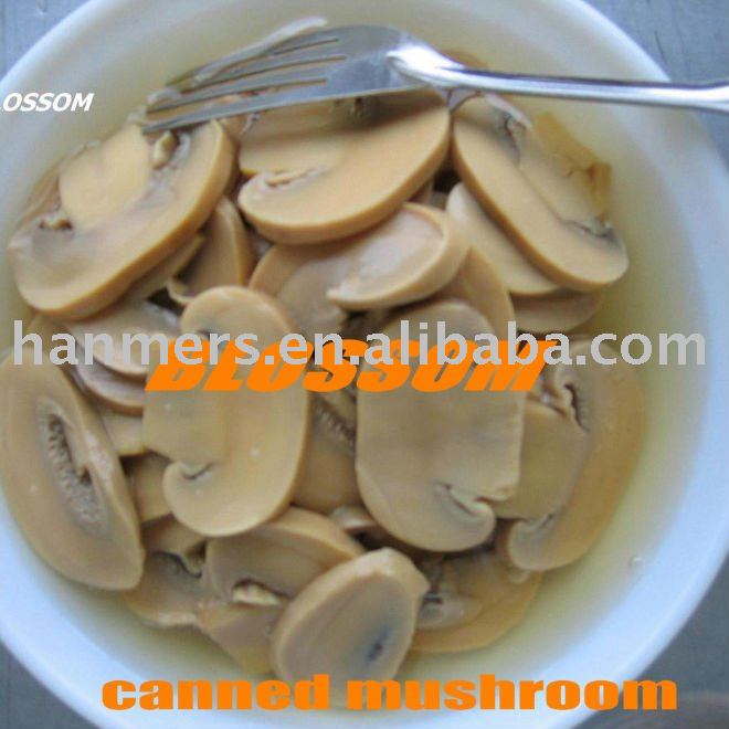 canned mushroom slices