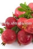 Supply Pomegranate Juice Concentrate