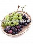 Supply Grape Juice Concentrate