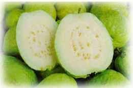  Guava   Concentrate  Juice