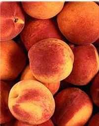  Peach   Concentrate    Juice 