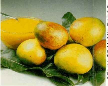 Mango Pulp