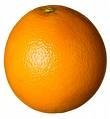 ORANGE JUICE CONCENTRATE