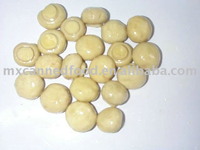 Nutritious Can White Mushroom Whole&Slices Fresh Mushroom