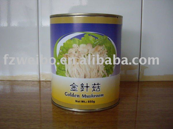 Top Quality Canned Golden Needle Mushroom