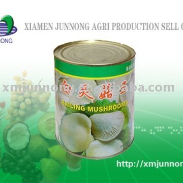 canned food canned vegetable canned bailing mushrooms