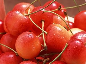 sour cherry juice concentrate