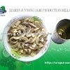 canned mushroom canned mushroom whole canned mushroom slices