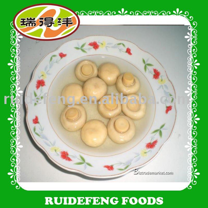  canned   mushroom   whole s in  brine  with competitive prices