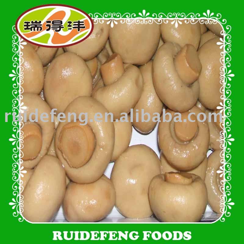 canned mushroom wholes in brine competitive prices are available