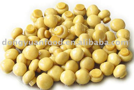 Champignon in brine