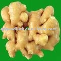 New crop elephant ginger