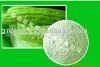 balsam pear powder