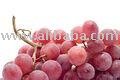 Sell Red Grape Juice Concentrate\Juice