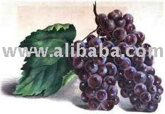 White - Red Grape Juice Concentrate
