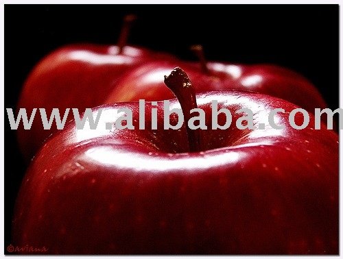 apple juice concentrate