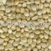 Soy Flour