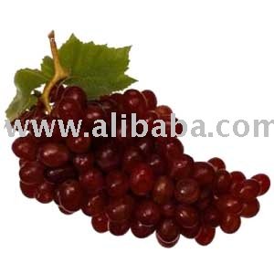 Red Grape Juice Concentrate